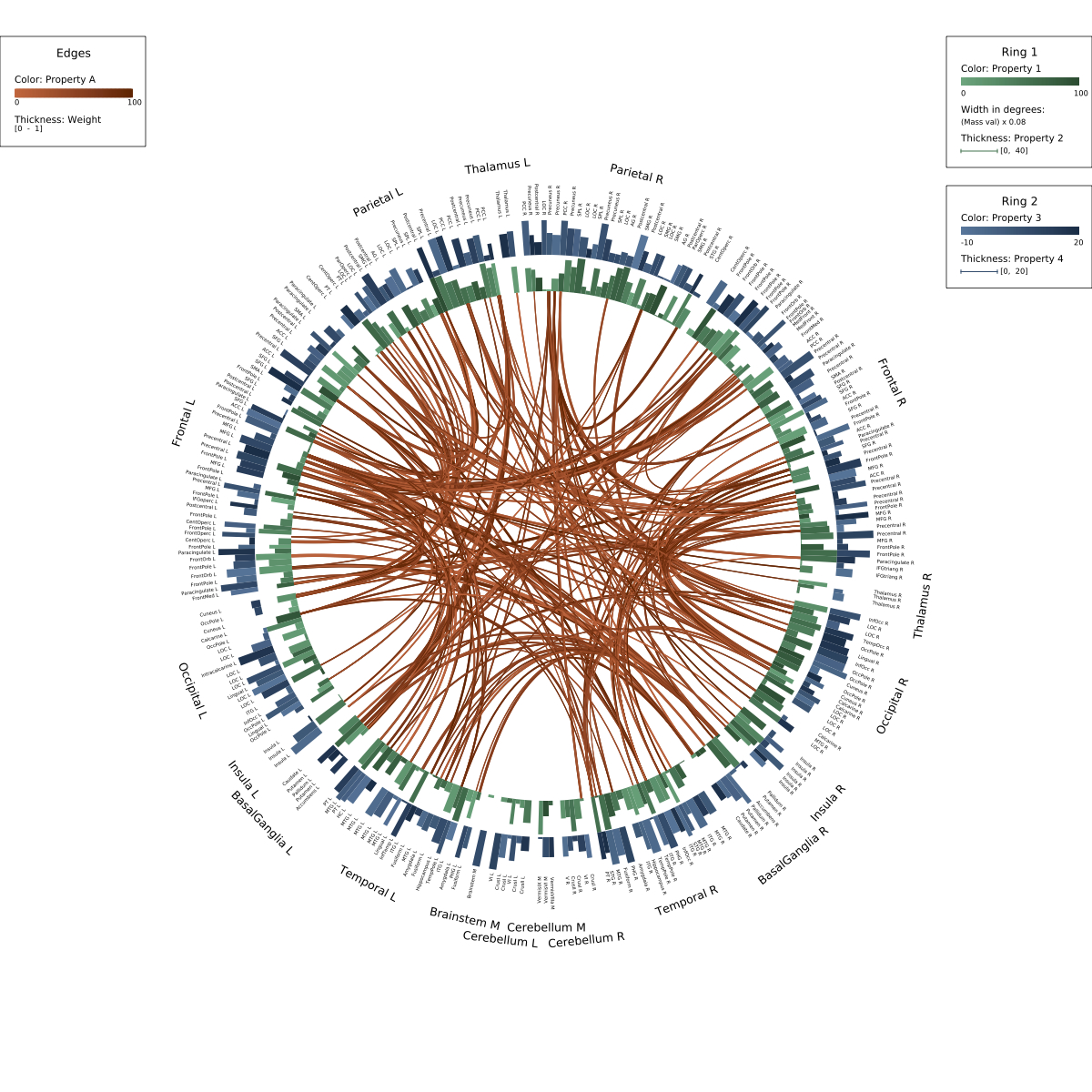 FMRI Visualization